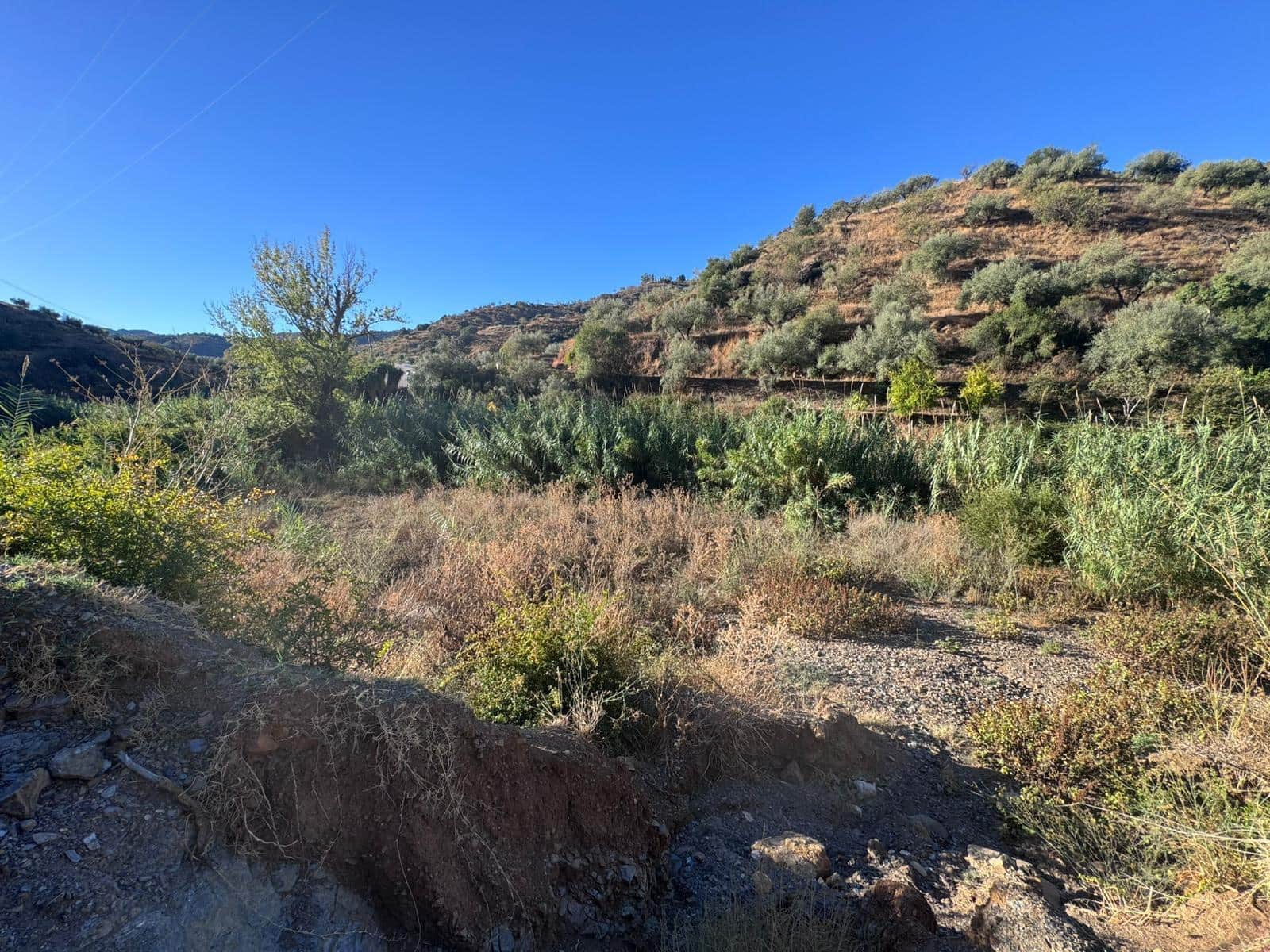 Building Plot for sale in Riogordo - € 299,000 (Ref: 9586742)