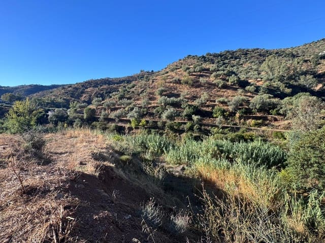 Działka budowlana na sprzedaż w Riogordo - 299 000 € (Ref: 9586742)