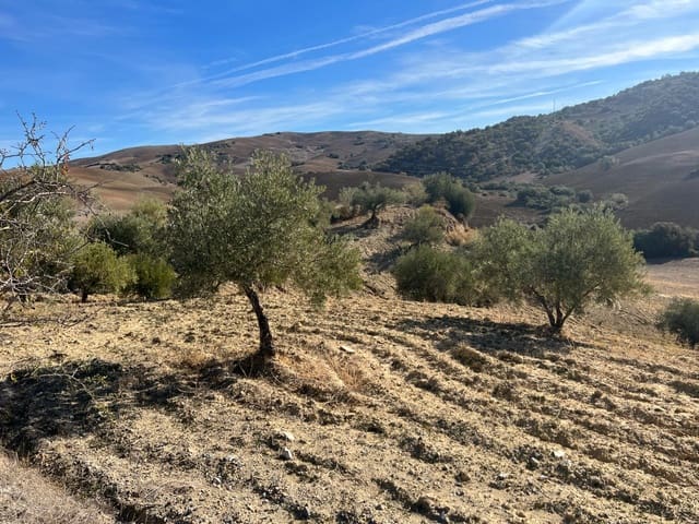 Terreno Non Edificato in vendita in Almogía - 25.000 € (Rif: 9591573)