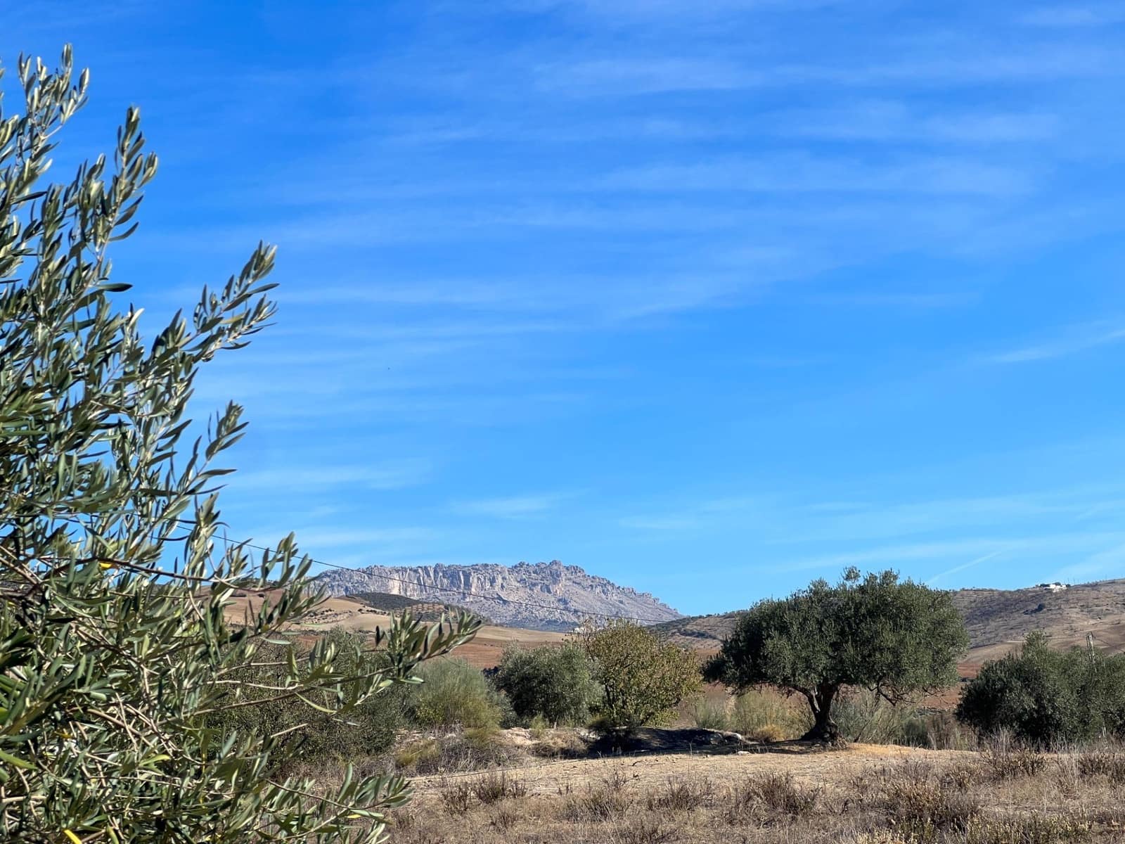 Undeveloped Land for sale in Almogia - € 25,000 (Ref: 9591573)