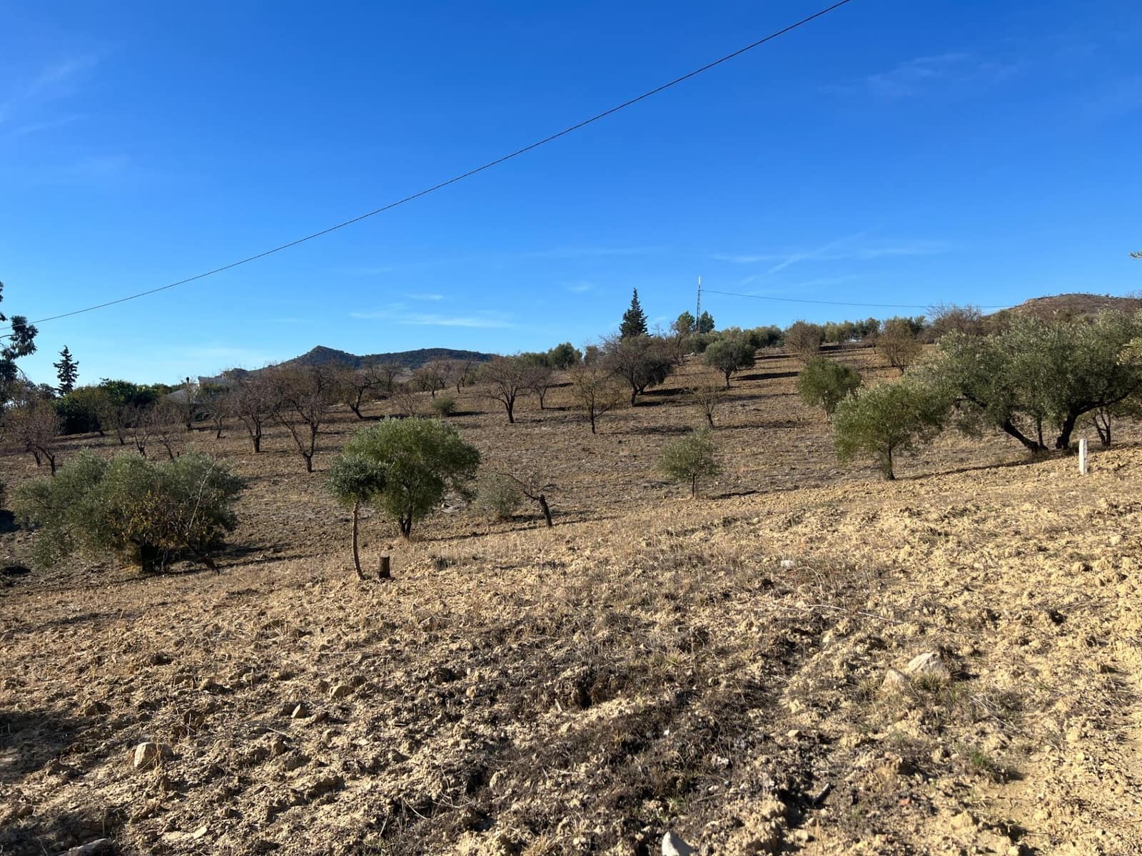 Undeveloped Land for sale in Almogia - € 25,000 (Ref: 9591573)