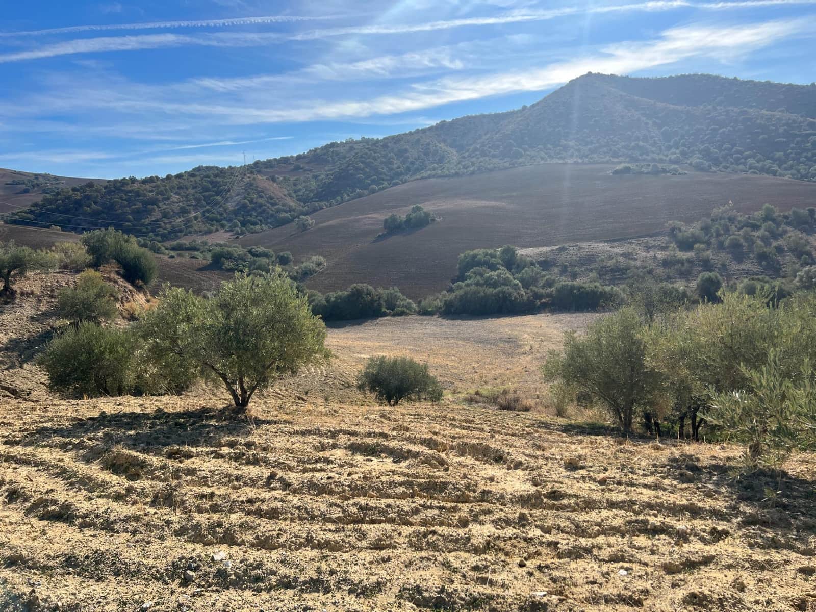 Undeveloped Land for sale in Almogia - € 25,000 (Ref: 9591573)