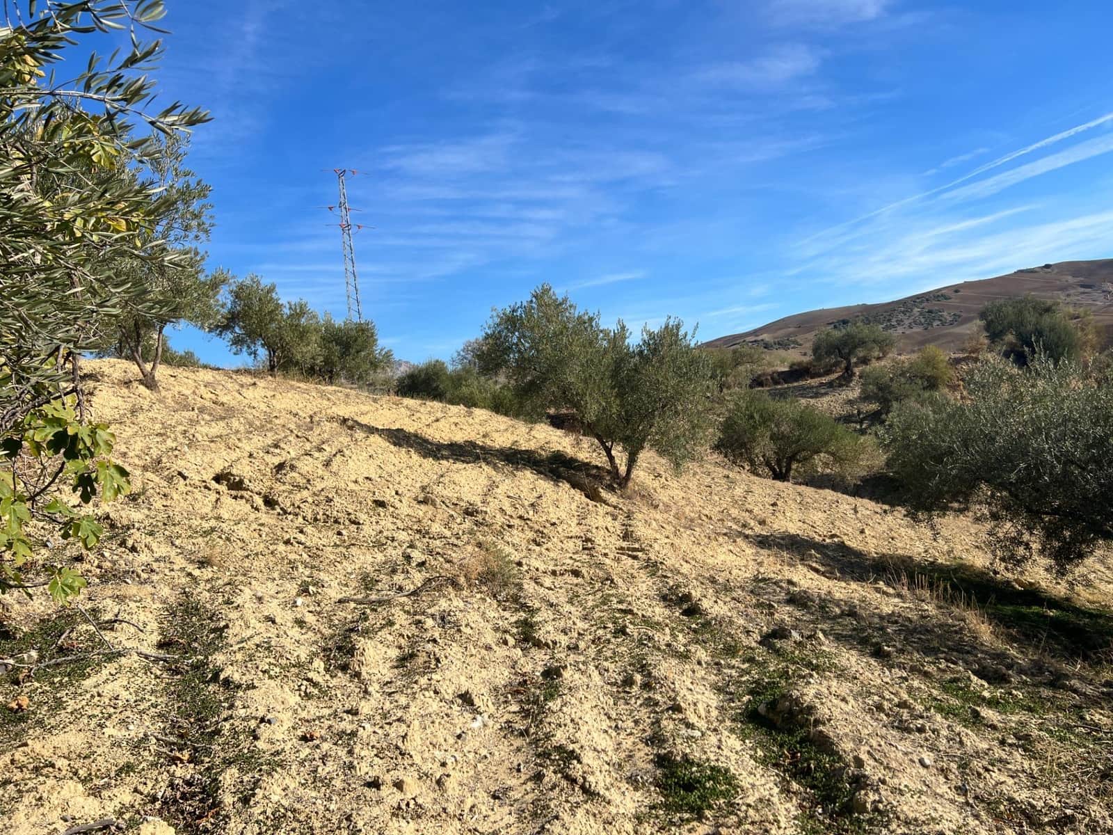 Undeveloped Land for sale in Almogia - € 25,000 (Ref: 9591573)