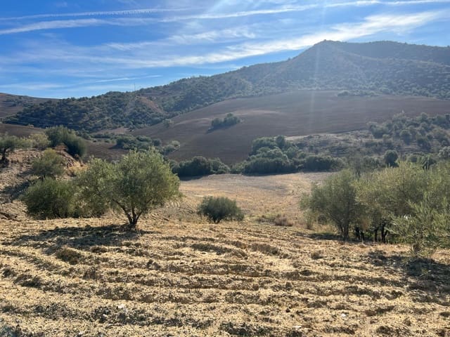 Terre non Aménagée à vendre à Almogía - 25 000 € (Ref: 9591573)