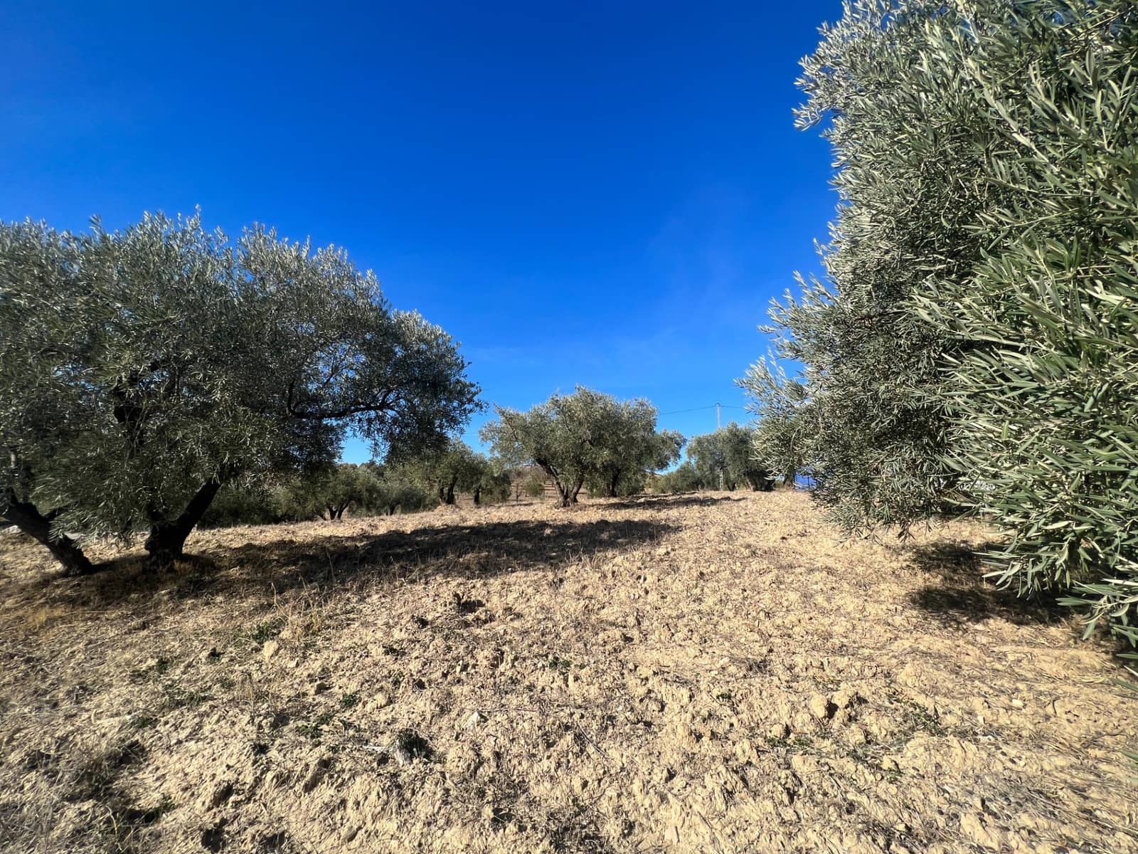 Undeveloped Land for sale in Almogia - € 25,000 (Ref: 9591573)