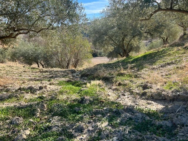 Terre non Aménagée à vendre à Almogía - 25 000 € (Ref: 9591573)