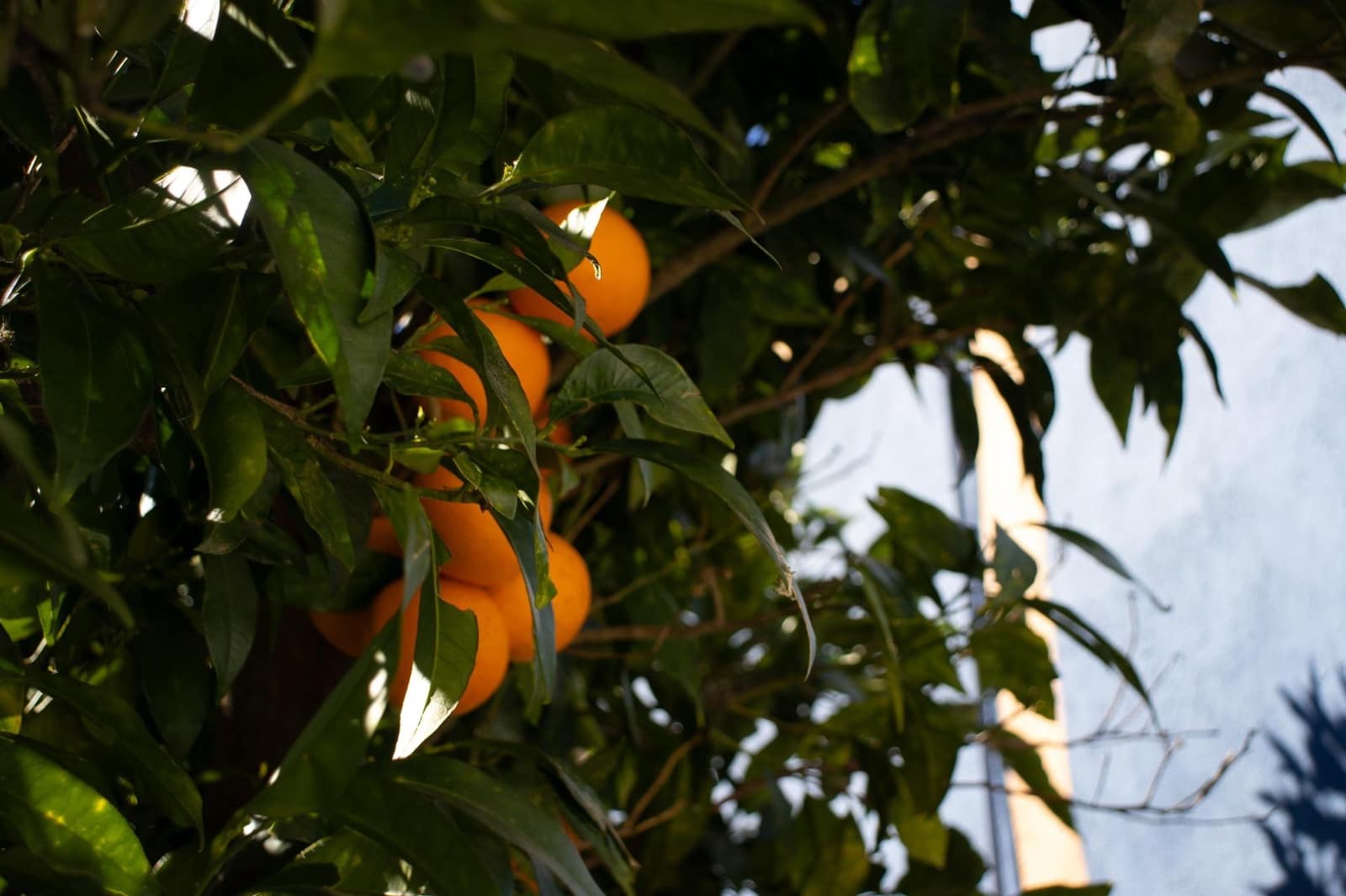 Finca/Casa Rural de 2 habitaciones en Archez en venta con garaje - 839.000 € (Ref: 9630327)