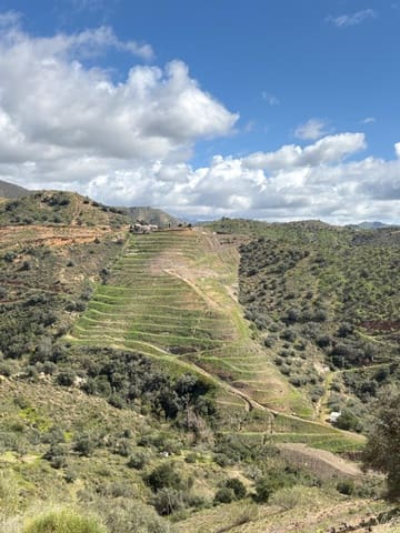 Grond te koop in Canillas de Aceituno - € 79.000 (Ref: 9670922)