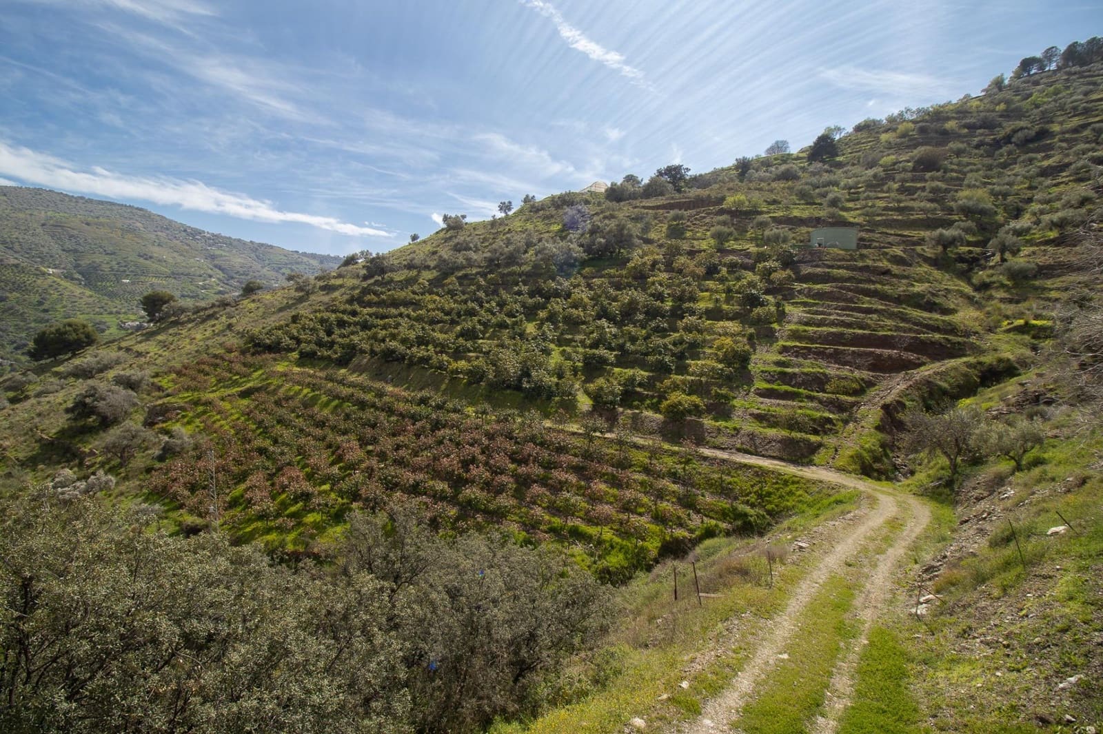 2 bedroom Finca/Country House for sale in Competa - € 435,000 (Ref: 9677641)