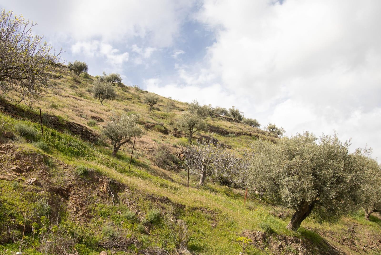 2 bedroom Finca/Country House for sale in Competa - € 435,000 (Ref: 9677641)