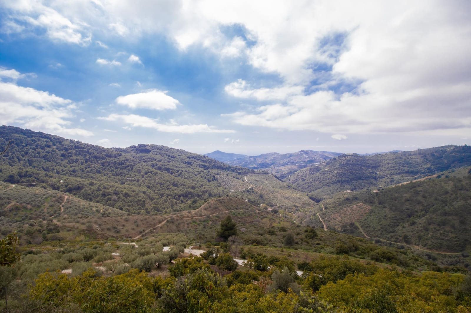 3 bedroom Finca/Country House for sale in Albaida - € 250,000 (Ref: 9735820)