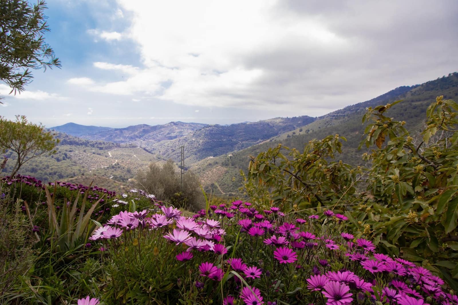 3 bedroom Finca/Country House for sale in Albaida - € 250,000 (Ref: 9735820)