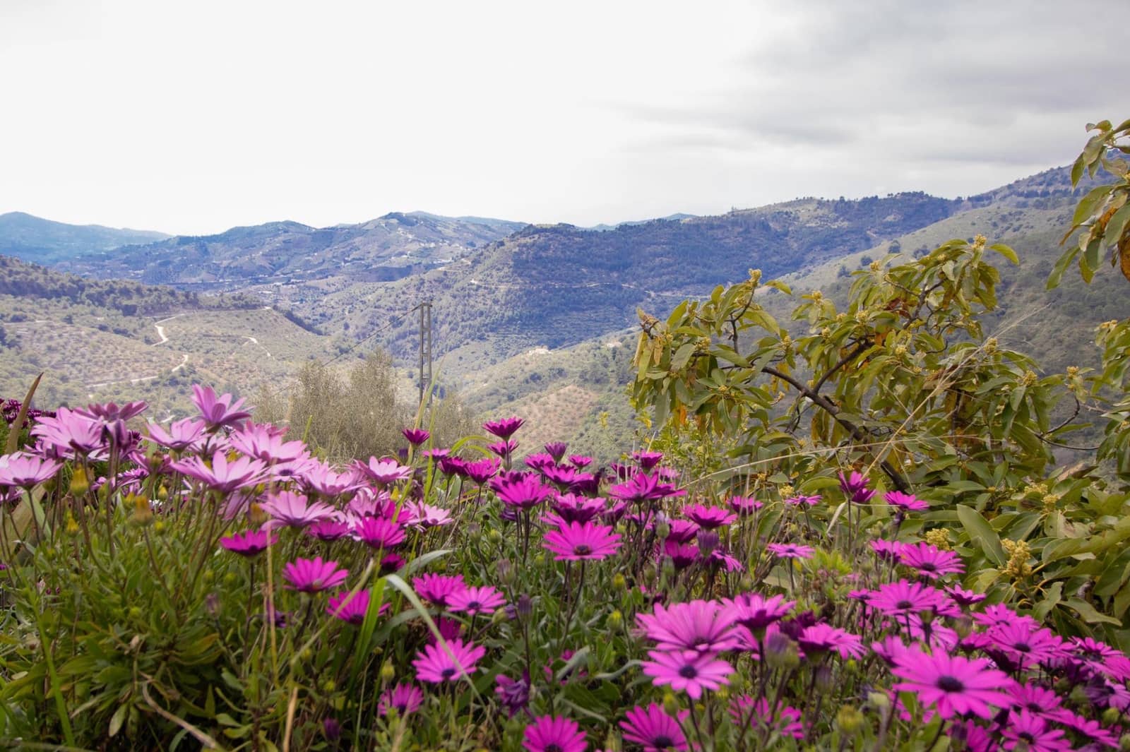 3 bedroom Finca/Country House for sale in Albaida - € 250,000 (Ref: 9735820)