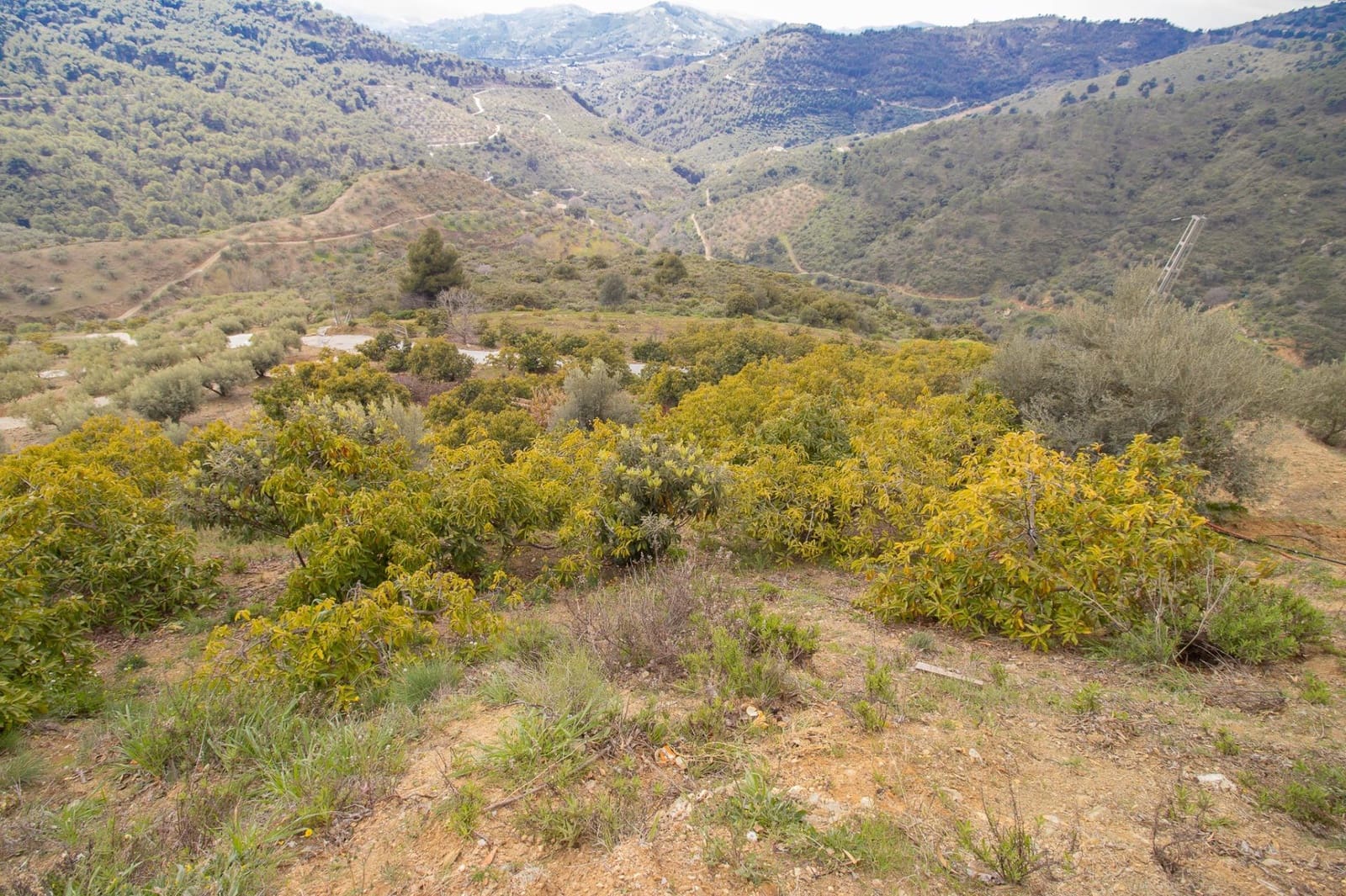 3 bedroom Finca/Country House for sale in Albaida - € 250,000 (Ref: 9735820)