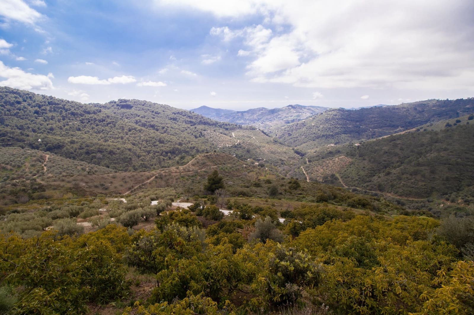3 bedroom Finca/Country House for sale in Albaida - € 250,000 (Ref: 9735820)