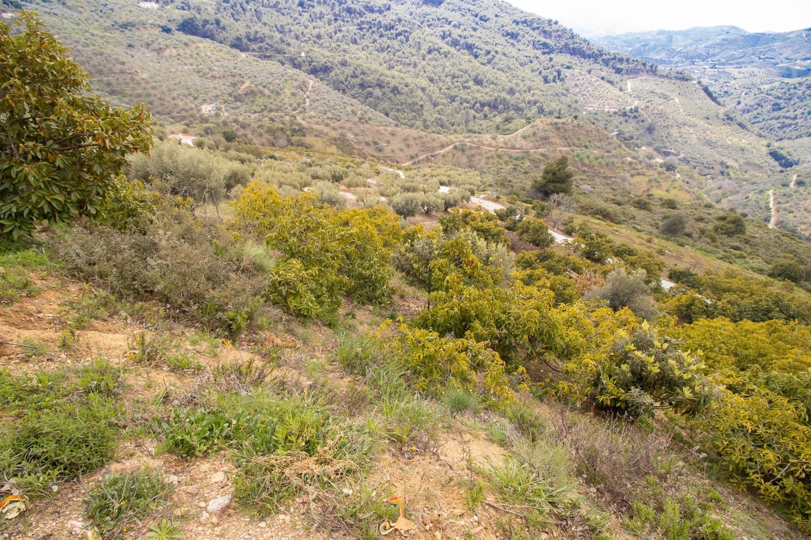 3 bedroom Finca/Country House for sale in Albaida - € 250,000 (Ref: 9735820)