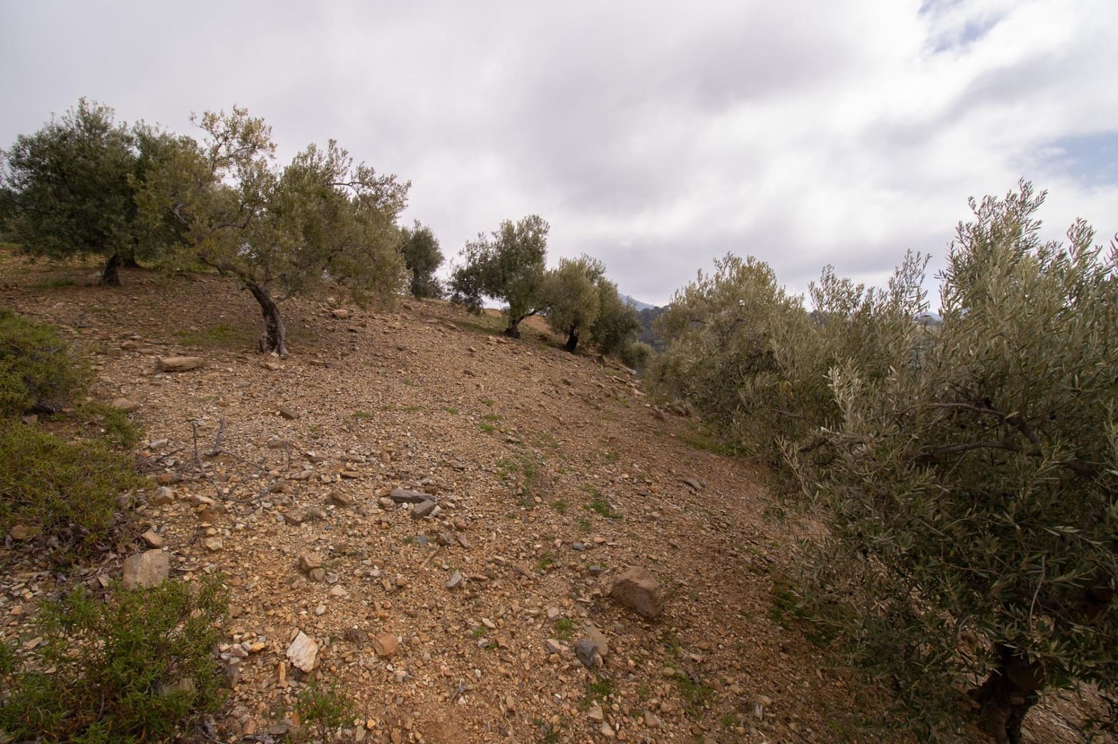 3 bedroom Finca/Country House for sale in Albaida - € 250,000 (Ref: 9735820)