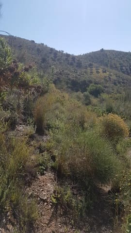 Ubebygd land til salgs i Vélez-Málaga - € 45 000 (Ref: 9773295)