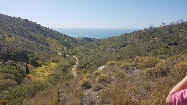 Ubebygd land til salgs i Vélez-Málaga - € 45 000 (Ref: 9773295)