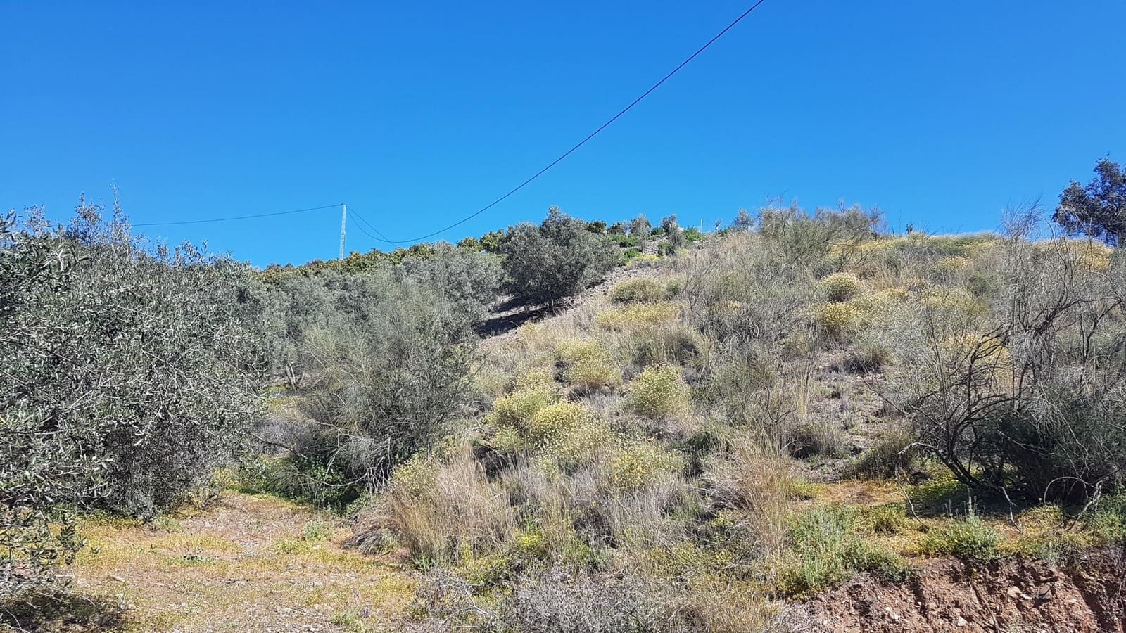 Ubebygd land til salgs i Velez-Malaga - € 45 000 (Ref: 9773295)