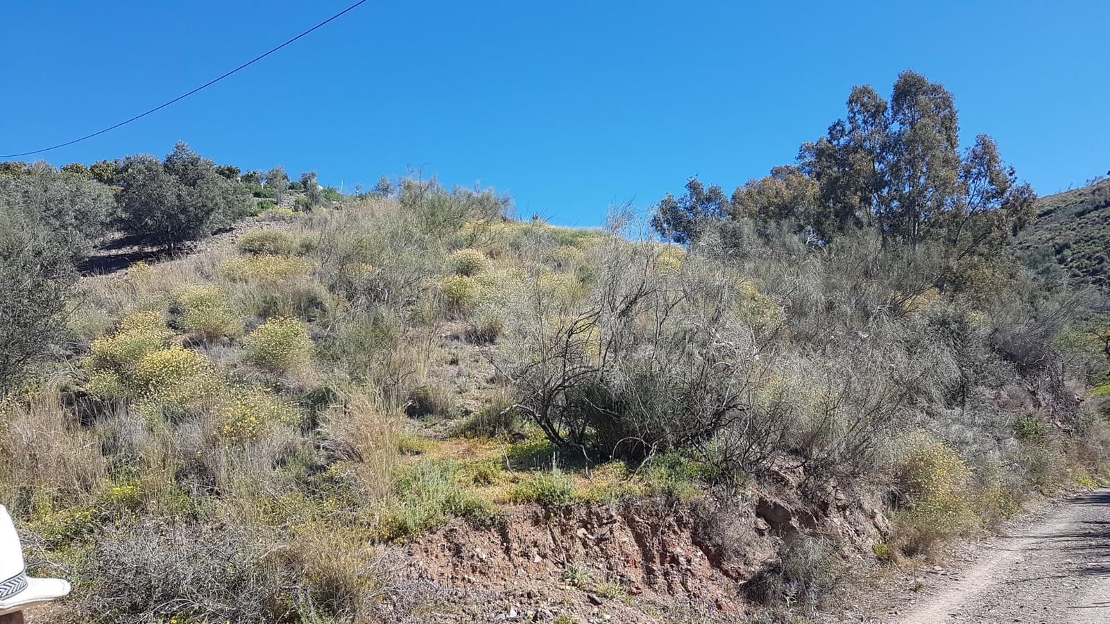 Ubebygd land til salgs i Velez-Malaga - € 45 000 (Ref: 9773295)