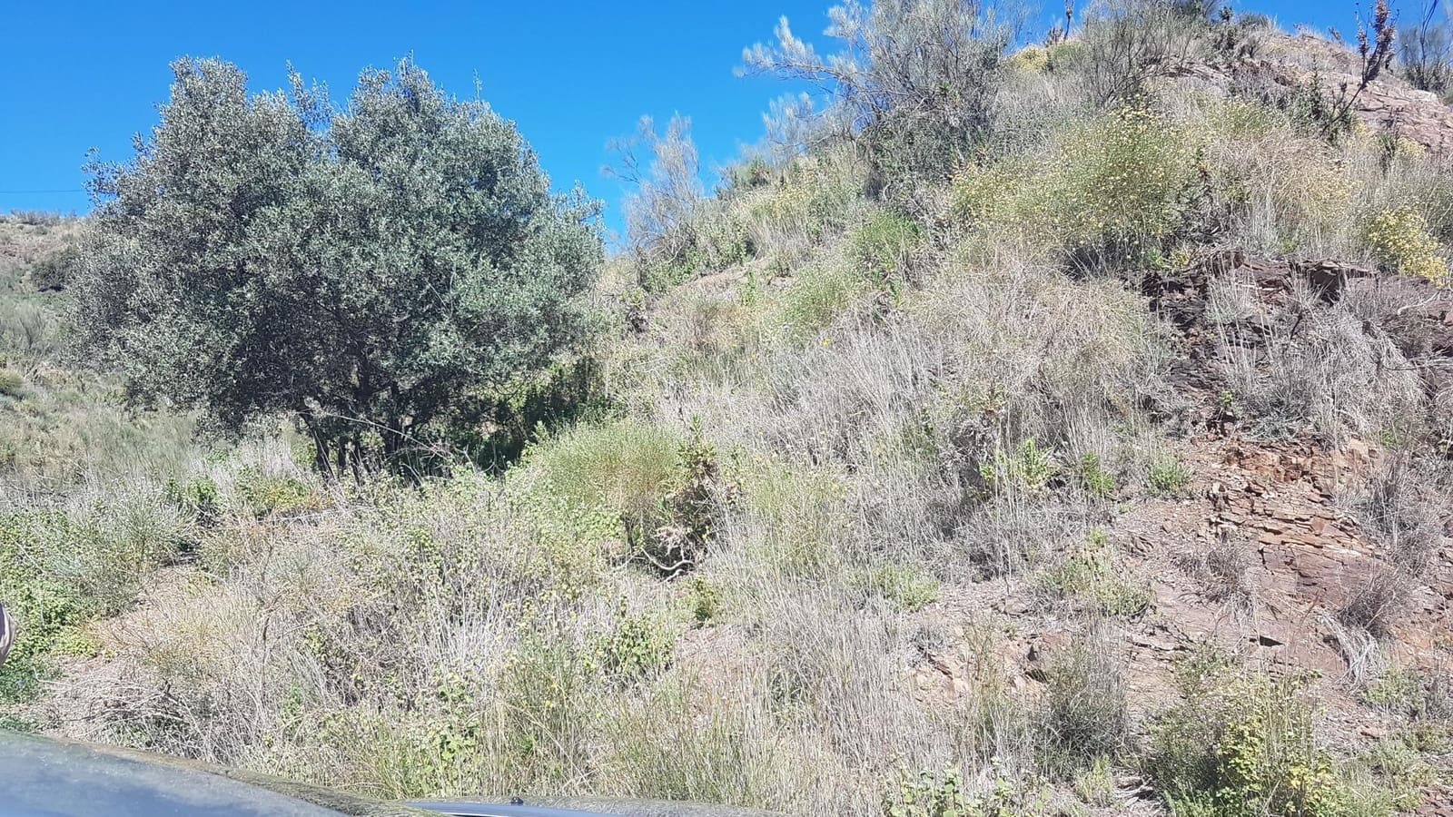 Ubebygd land til salgs i Velez-Malaga - € 45 000 (Ref: 9773295)