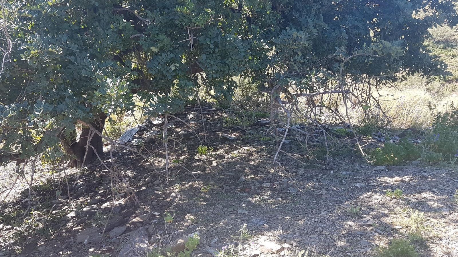 Ubebygd land til salgs i Velez-Malaga - € 45 000 (Ref: 9773295)