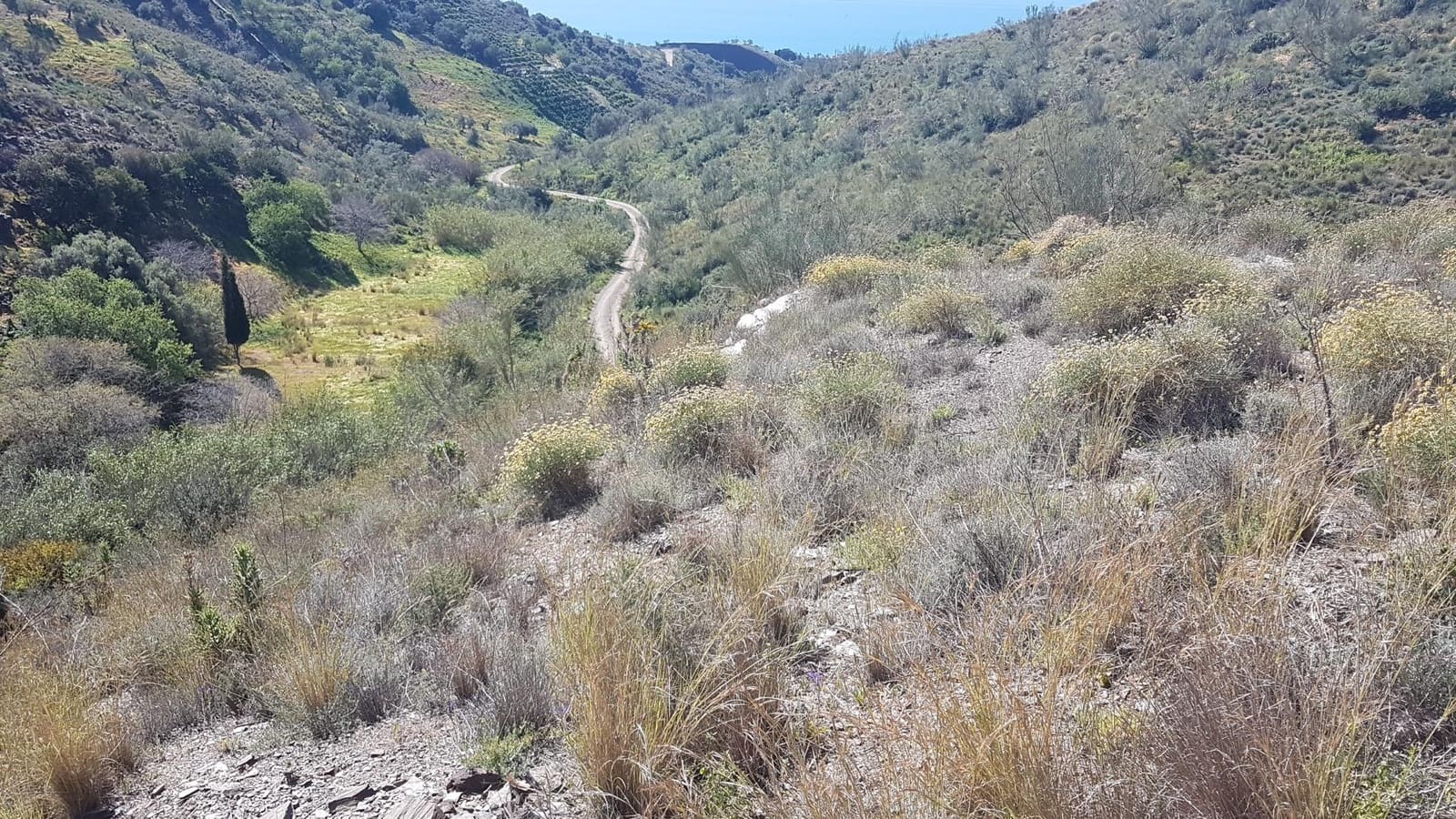 Ubebygd land til salgs i Velez-Malaga - € 45 000 (Ref: 9773295)