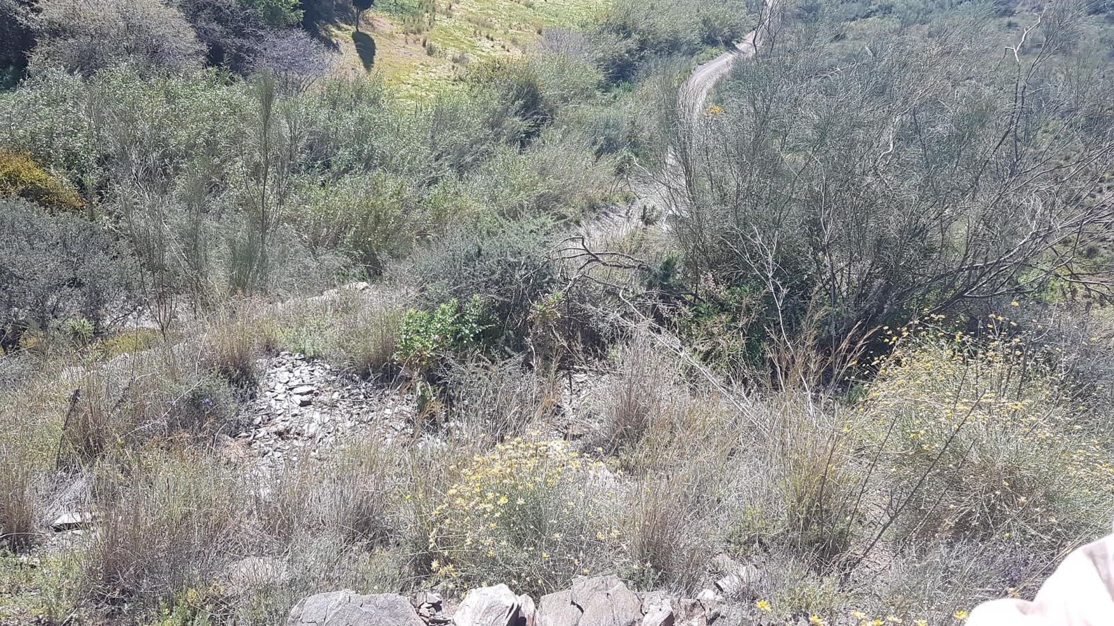 Ubebygd land til salgs i Velez-Malaga - € 45 000 (Ref: 9773295)