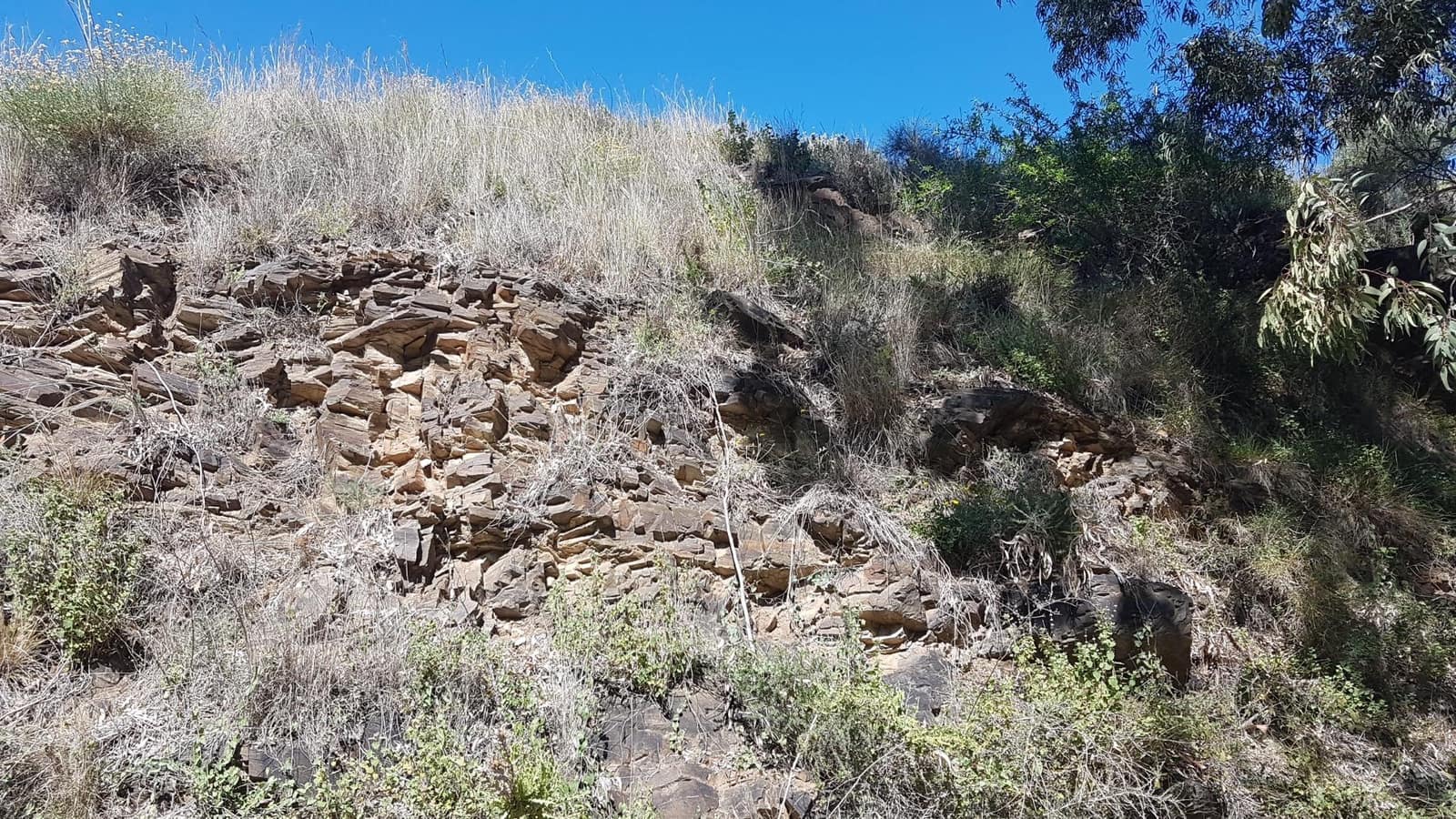 Ubebygd land til salgs i Velez-Malaga - € 45 000 (Ref: 9773295)