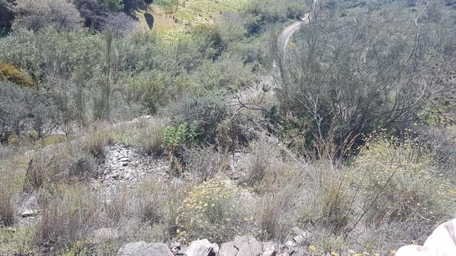 Ubebygd land til salgs i Vélez-Málaga - € 45 000 (Ref: 9773295)