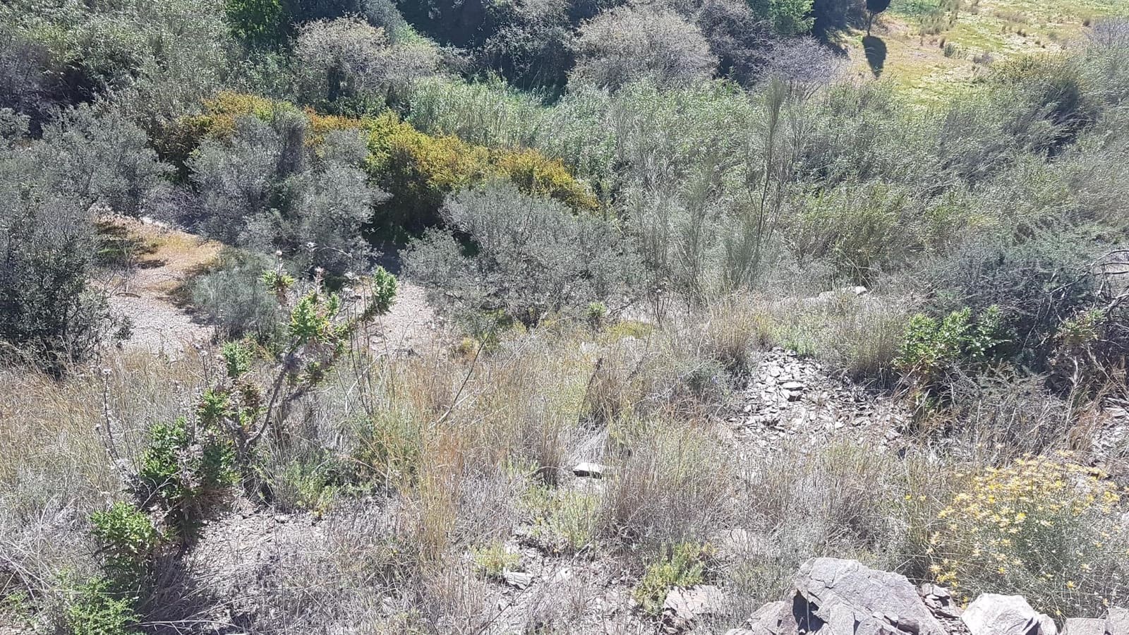 Ubebygd land til salgs i Velez-Malaga - € 45 000 (Ref: 9773295)