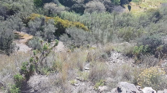 Ubebygd land til salgs i Vélez-Málaga - € 45 000 (Ref: 9773295)