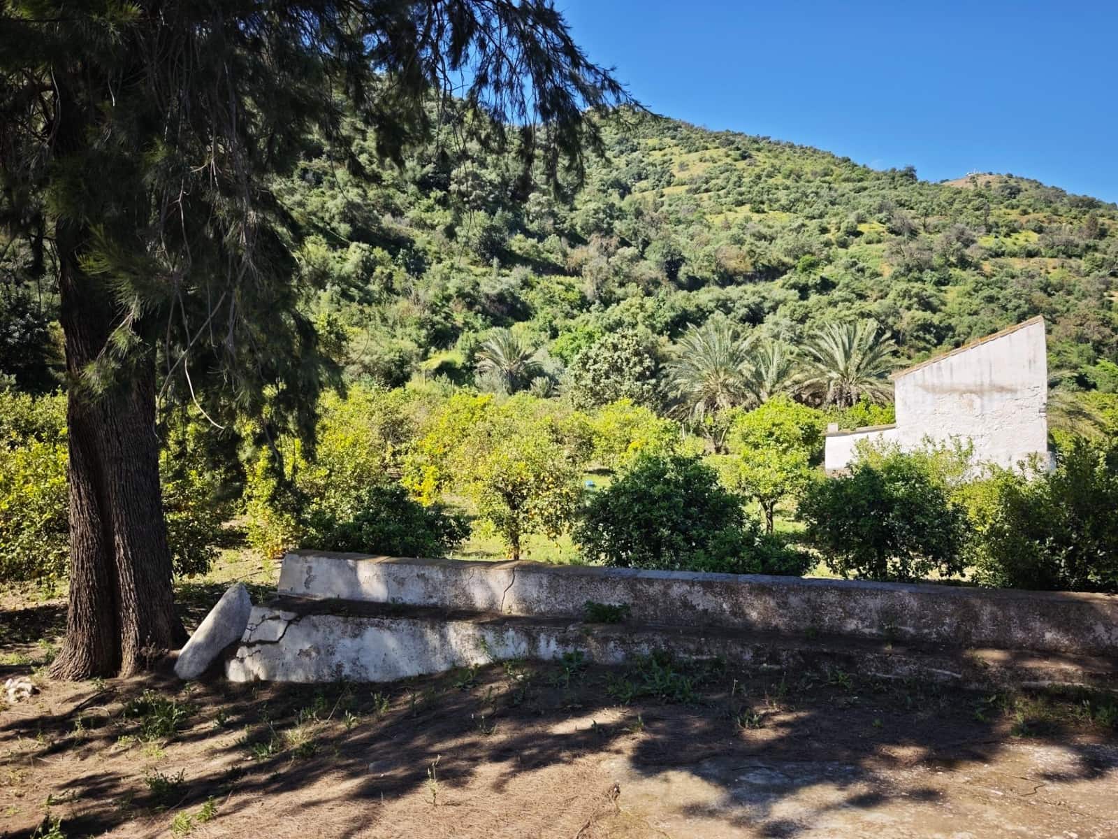 Finka/Dom wiejski na sprzedaż w Pizarra z garażem - 380 000 € (Ref: 9787021)