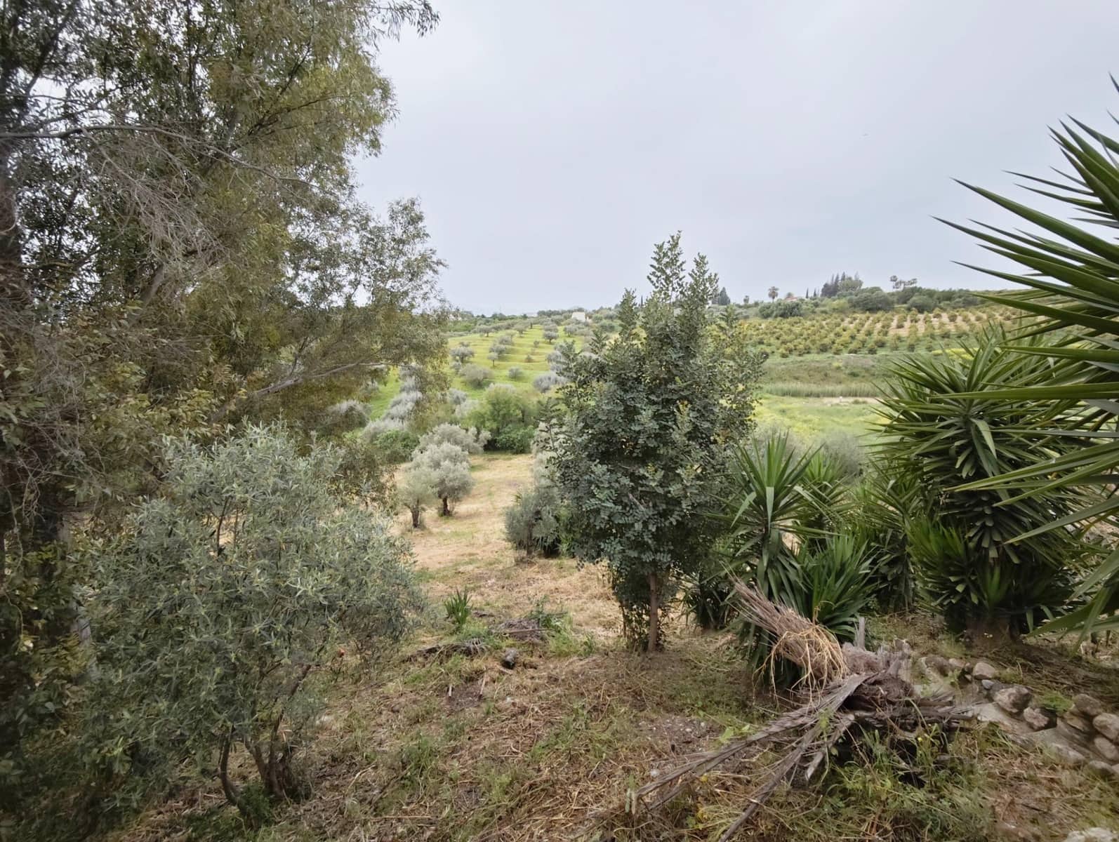 3 camera da letto Finca/Casa di Campagna in vendita in Cartama con piscina garage - 280.000 € (Rif: 9791270)