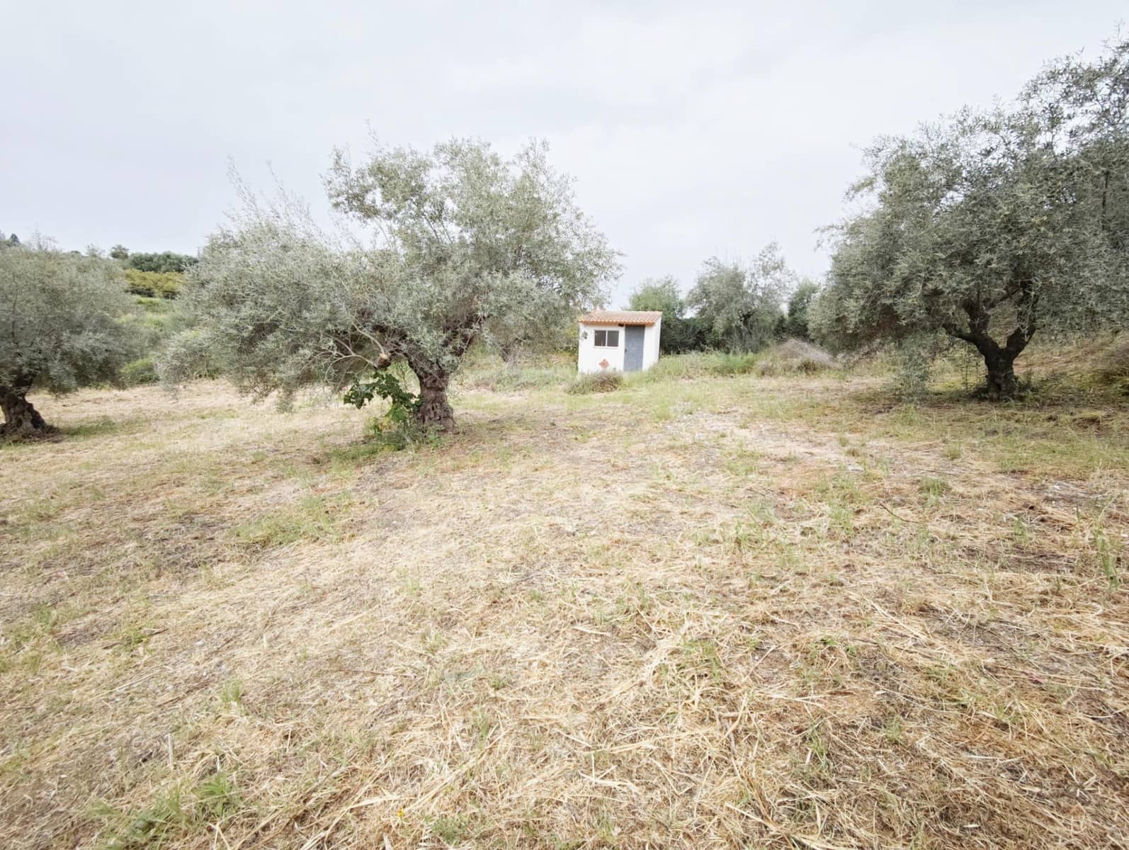 3 camera da letto Finca/Casa di Campagna in vendita in Cartama con piscina garage - 280.000 € (Rif: 9791270)