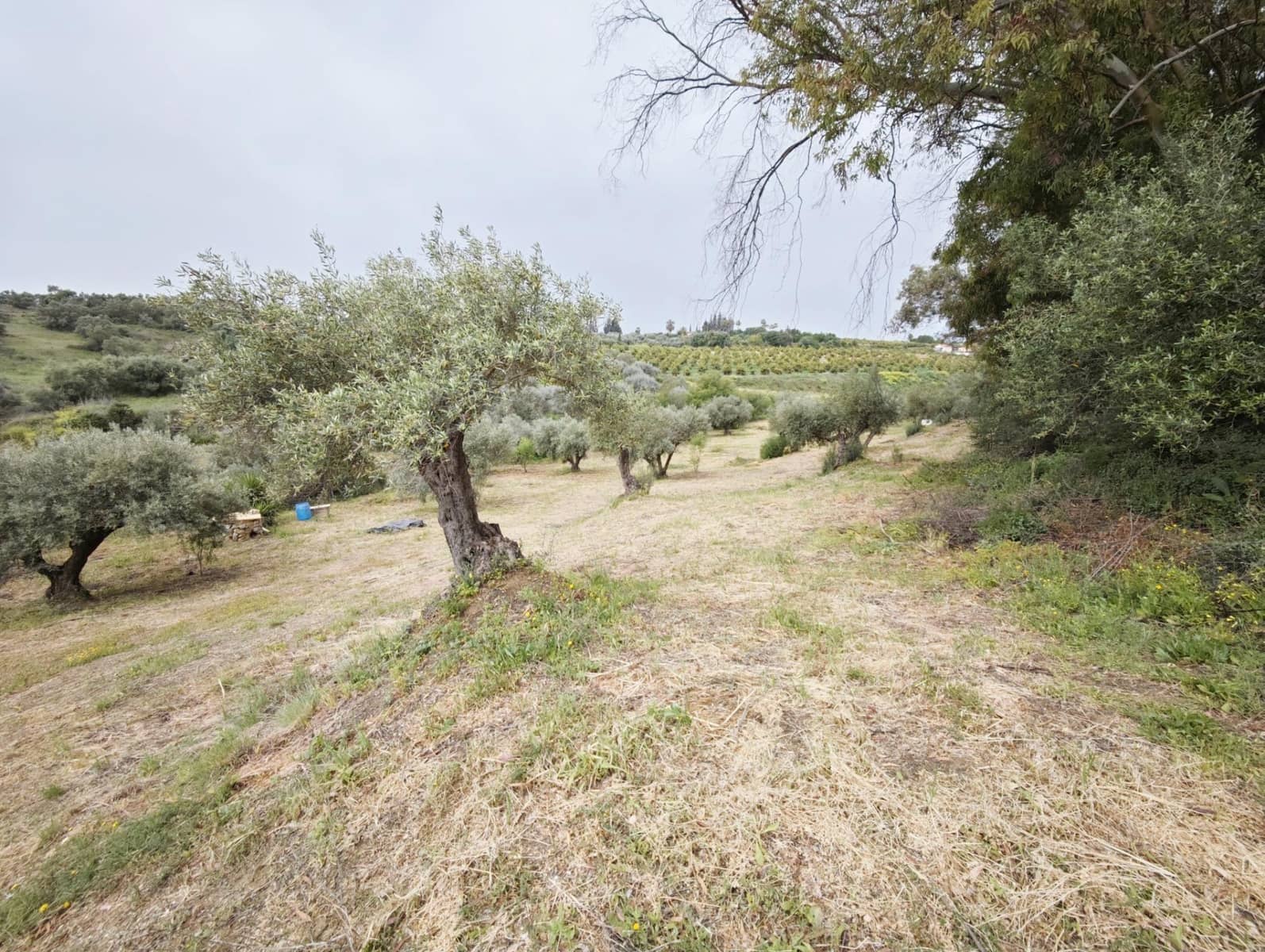 3 camera da letto Finca/Casa di Campagna in vendita in Cartama con piscina garage - 280.000 € (Rif: 9791270)