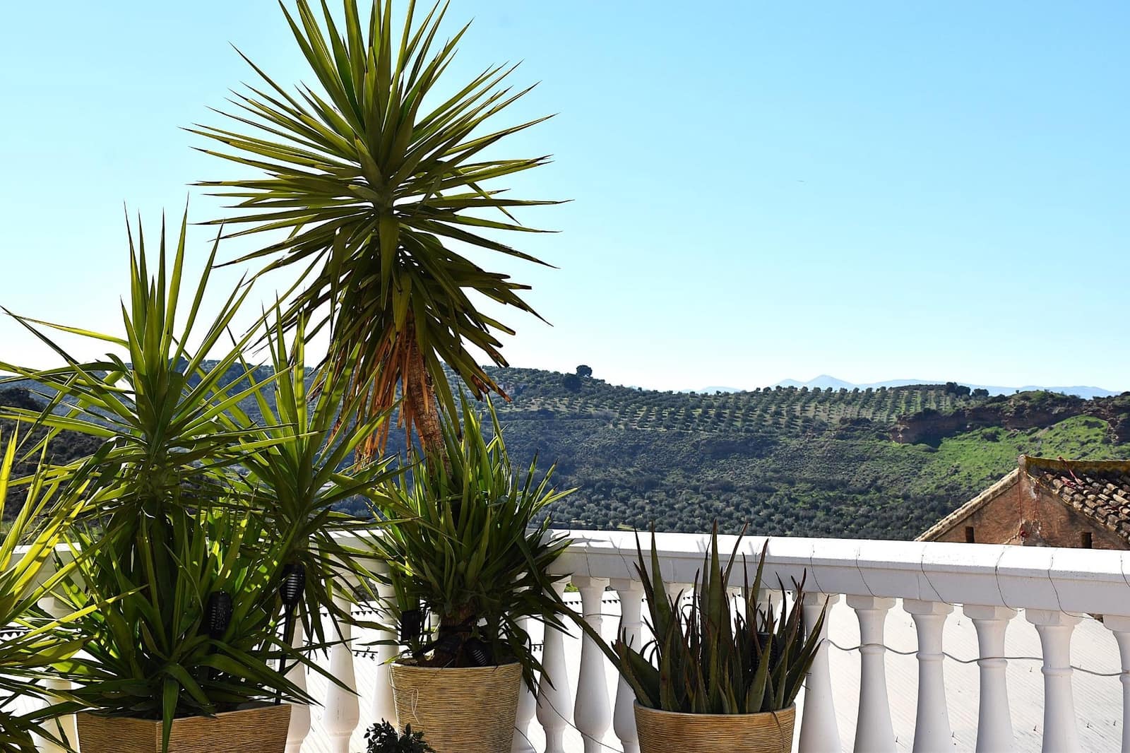 4 sypialnia Dom na sprzedaż w Moraleda de Zafayona - 259 000 € (Ref: 9806665)