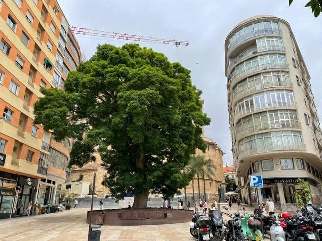 Garage zu verkaufen in Centro Historico, Málaga Stadt - 65.000 € (Ref: 9808191)