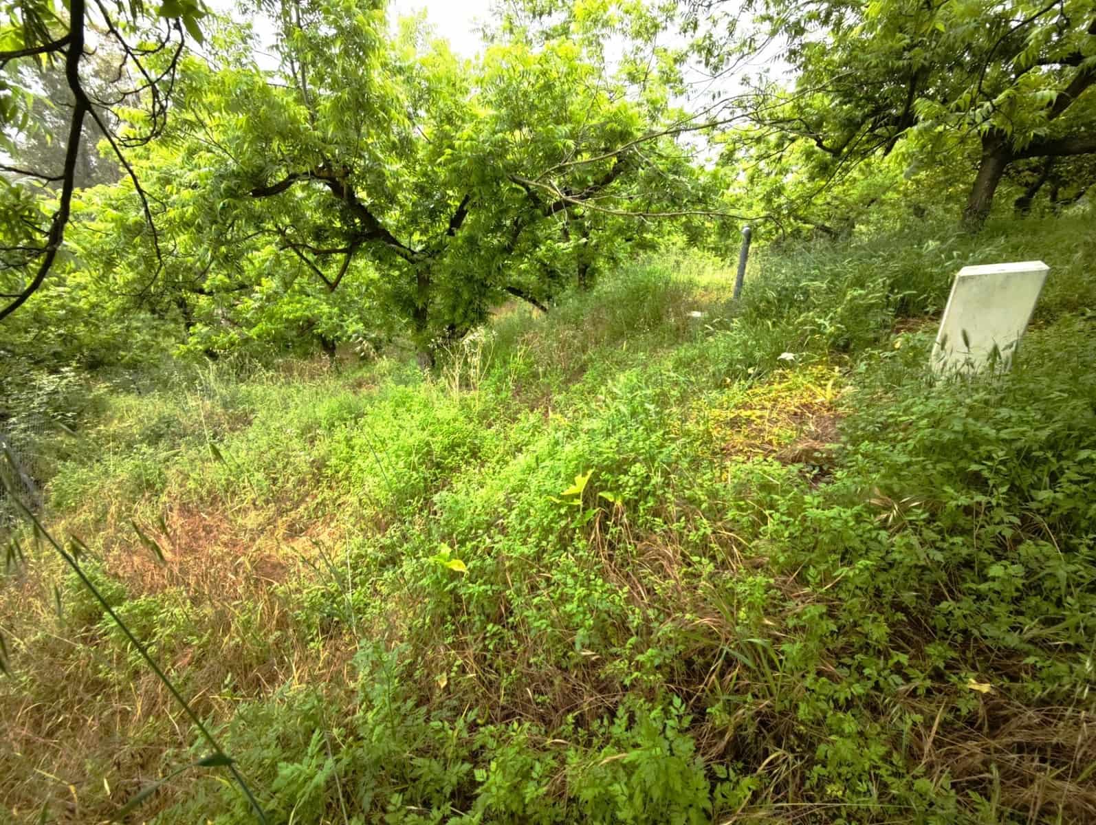 2 Zimmer Finca/Landgut zu verkaufen in Coin mit Garage - 270.000 € (Ref: 9816049)