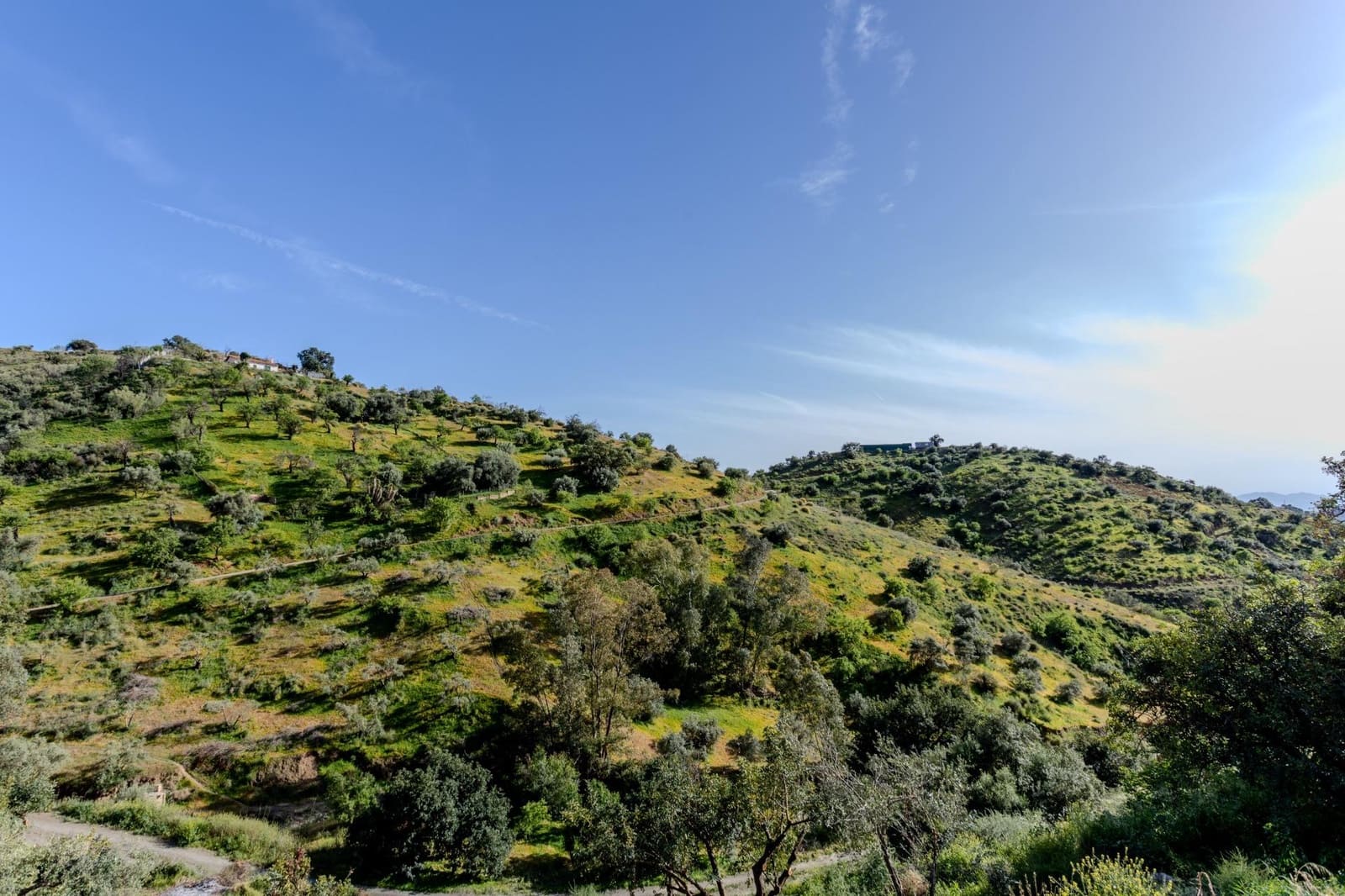 1 Zimmer Finca/Landgut zu verkaufen in Almogia - 89.000 € (Ref: 9818102)