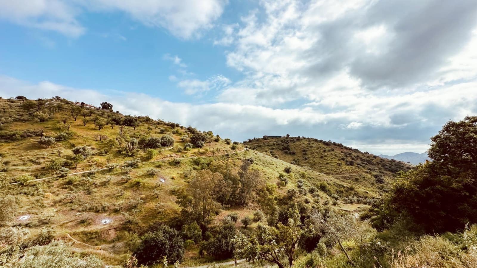 1 Zimmer Finca/Landgut zu verkaufen in Almogia - 89.000 € (Ref: 9818102)