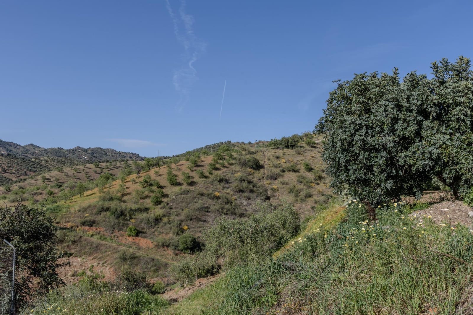 1 Zimmer Finca/Landgut zu verkaufen in Almogia - 89.000 € (Ref: 9818102)