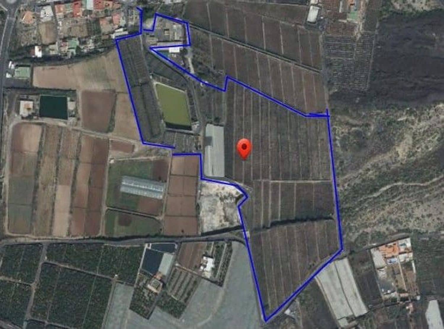 Terreno Non Edificato in vendita in Guimar - 1.200.000 € (Rif: 10158058)