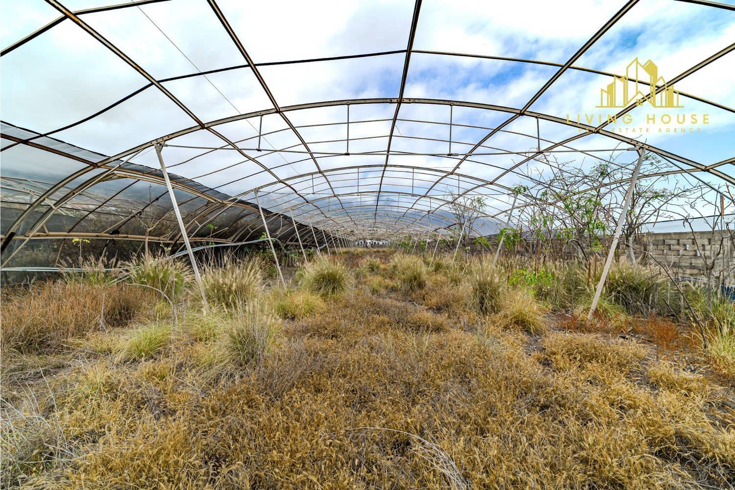 Terreno Non Edificato in vendita in Guimar - 1.200.000 € (Rif: 10158058)