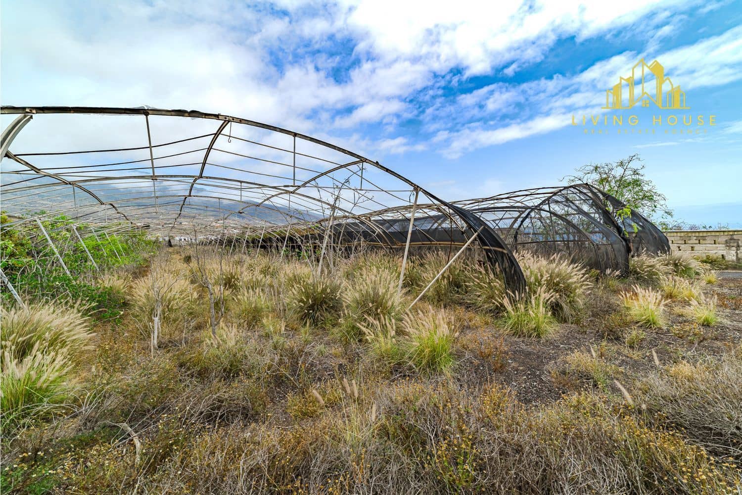 Terreno Non Edificato in vendita in Guimar - 1.200.000 € (Rif: 10158058)
