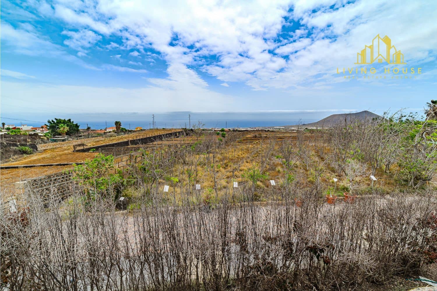 Terreno Non Edificato in vendita in Guimar - 1.200.000 € (Rif: 10158058)