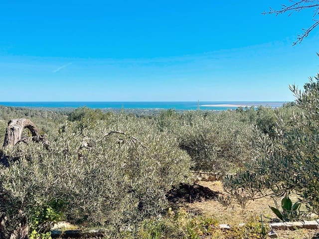 2 quarto Quinta/Casa Rural para venda em El Perelló com piscina - 278 000 € (Ref: 10049811)