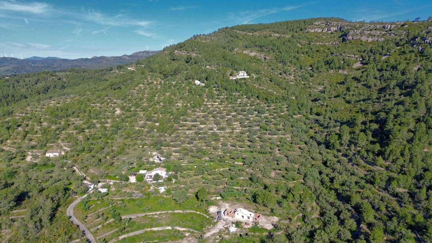 2 quarto Quinta/Casa Rural para venda em El Perello com piscina - 278 000 € (Ref: 10049811)