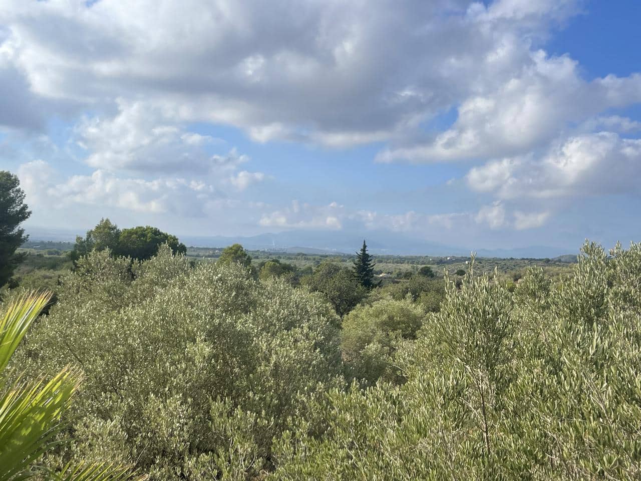 2 Zimmer Finca/Landgut zu verkaufen in Tortosa - 237.000 € (Ref: 10106446)